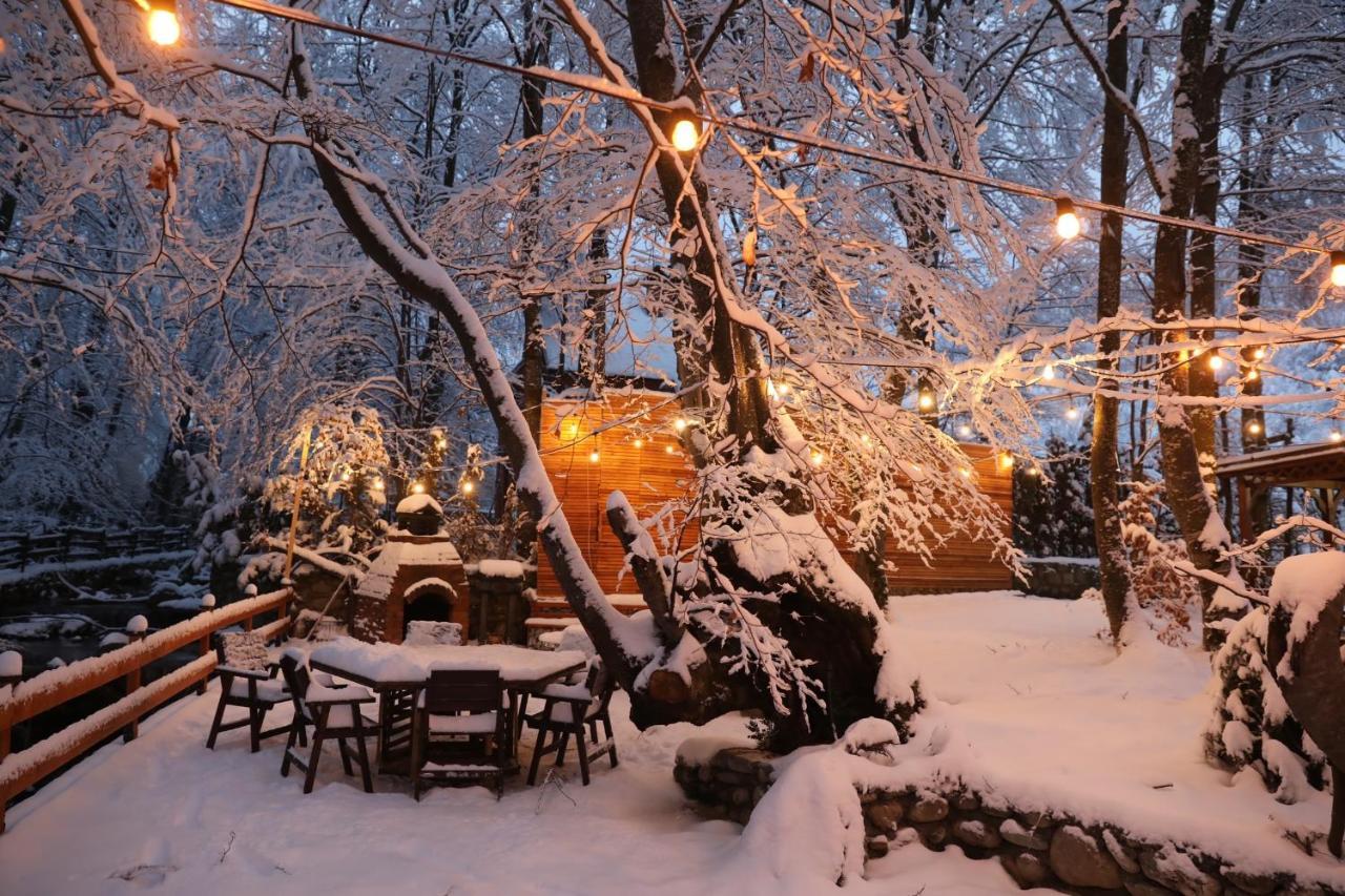 De La Villa Brezovica Exterior foto